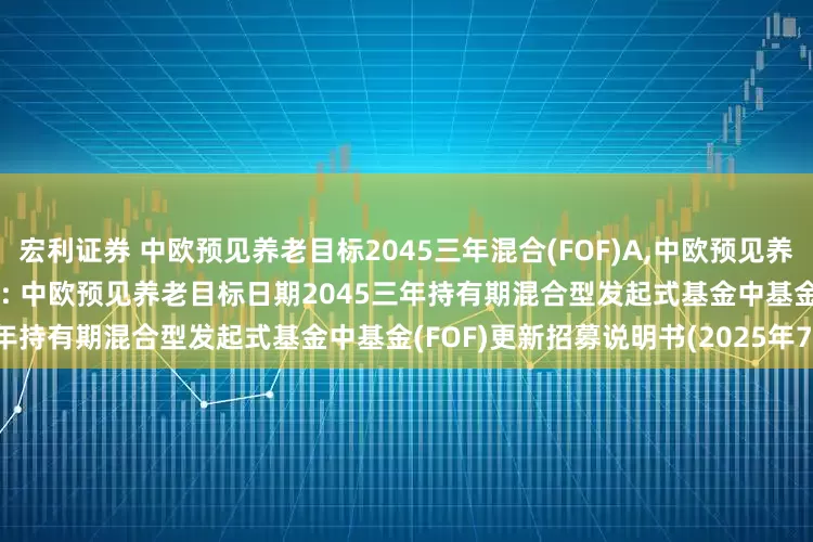 宏利证券 中欧预见养老目标2045三年混合(FOF)A,中欧预见养老目标2045三年混合(FOF)Y: 中欧预见养老目标日期2045三年持有期混合型发起式基金中基金(FOF)更新招募说明书(2025年7月)