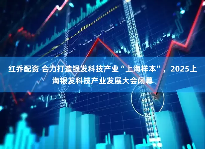 红乔配资 合力打造银发科技产业“上海样本”，2025上海银发科技产业发展大会闭幕